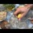 Alkaline Food Cookbook with Alkaline Recipes